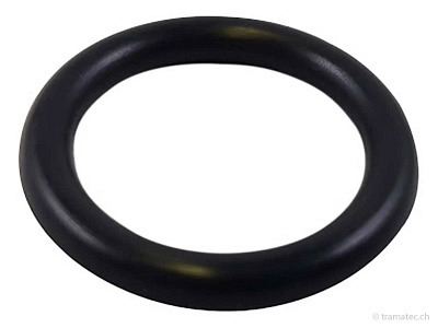 CastelGarden Ersatzteil O-Ring f. Wasseranschluss