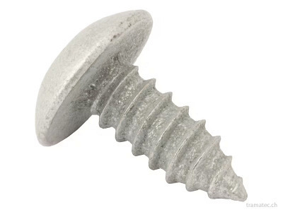 MTD Ersatzteil Schraube 1/4-14 0.625 Trustrxi